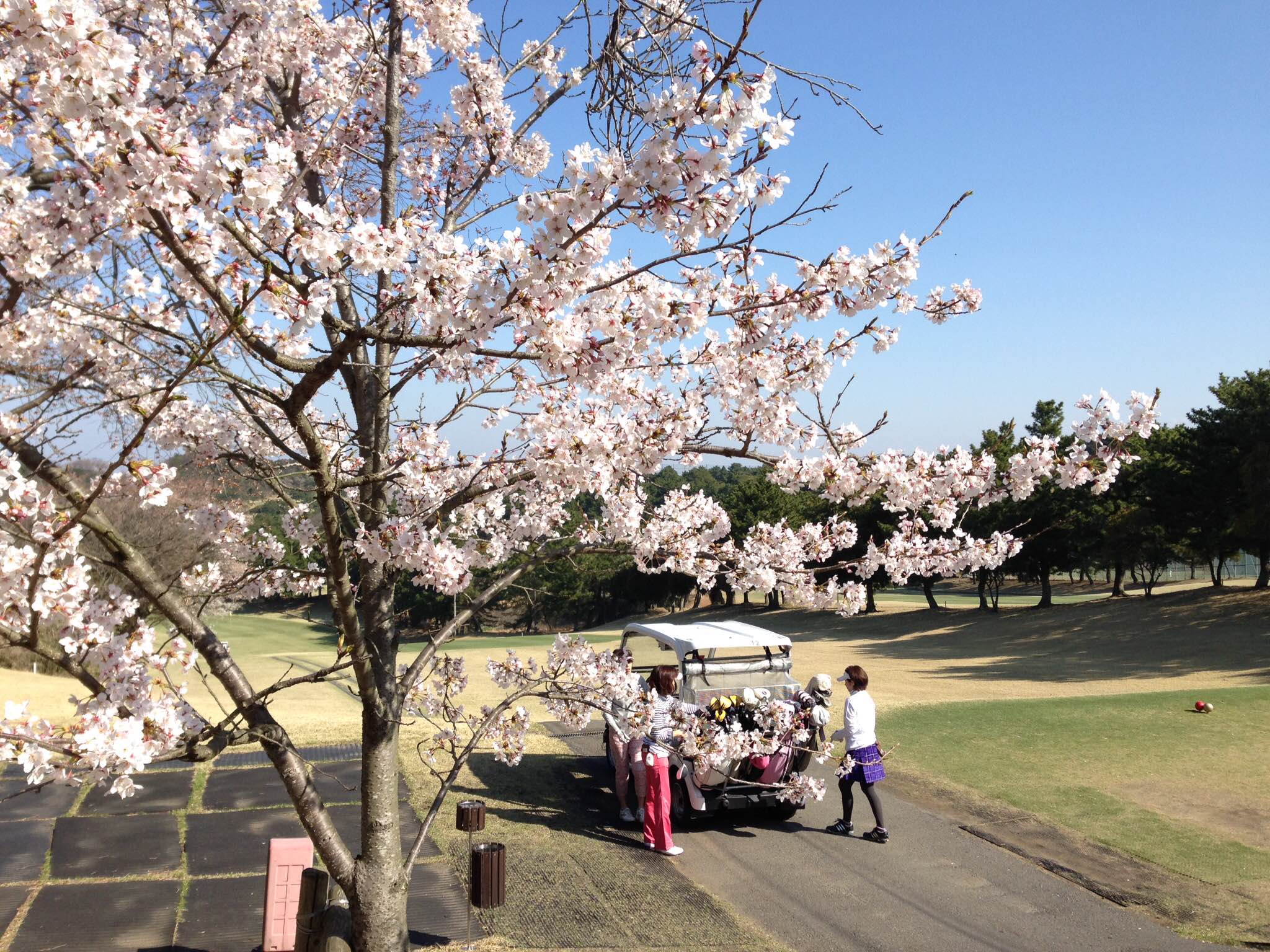 鎌倉パブリックゴルフ場でラウンドレッスンを開催しています。